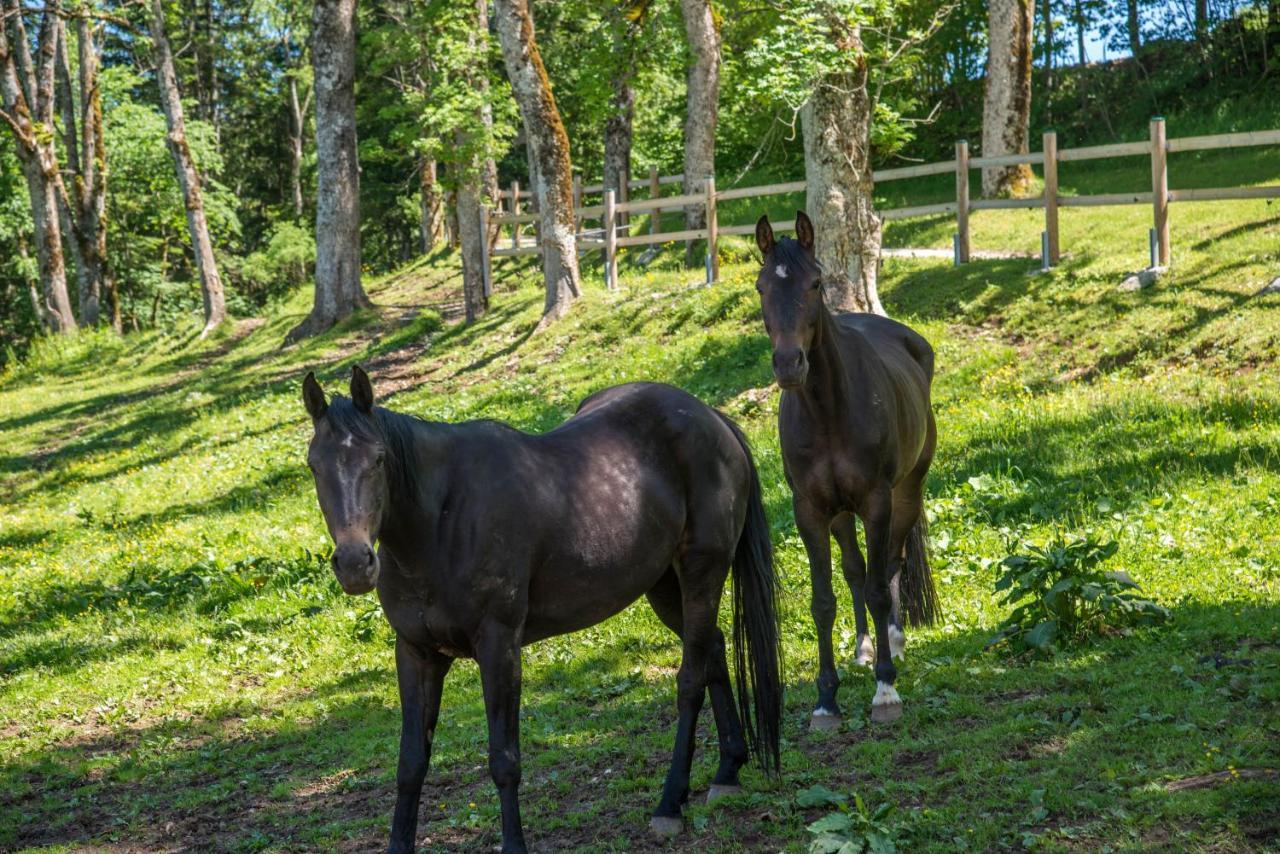 Appartamento Domaine De Malpas Villers-le-Lac Esterno foto