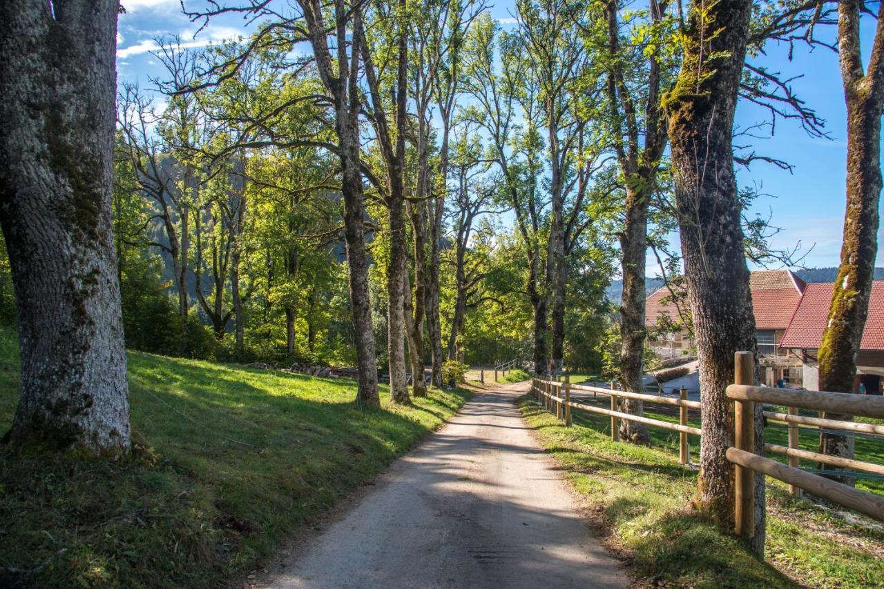 Appartamento Domaine De Malpas Villers-le-Lac Esterno foto