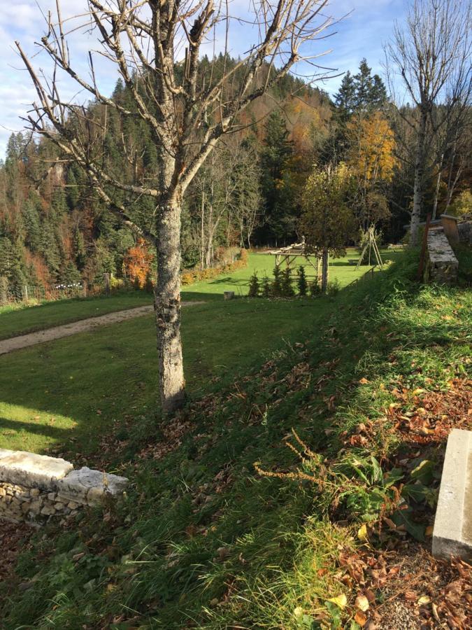 Appartamento Domaine De Malpas Villers-le-Lac Esterno foto