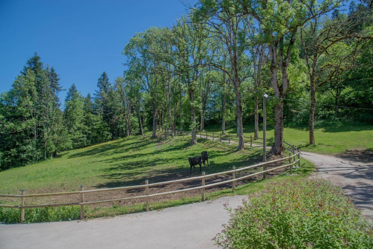 Appartamento Domaine De Malpas Villers-le-Lac Esterno foto